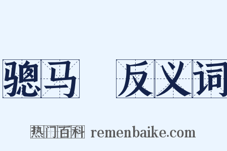 骢马郞反义词是什么意思的图片